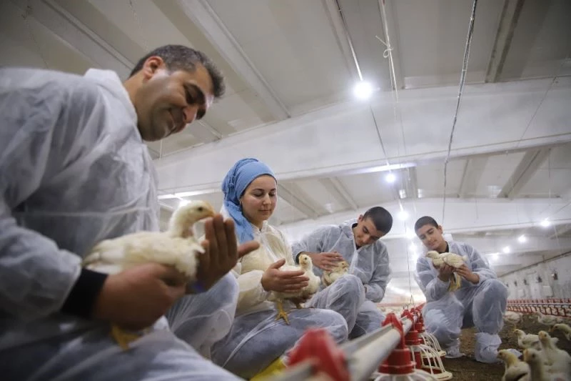 Devletten aldığı destekle çiftlik sahibi oldu, şimdi ailece çalışıyorlar
