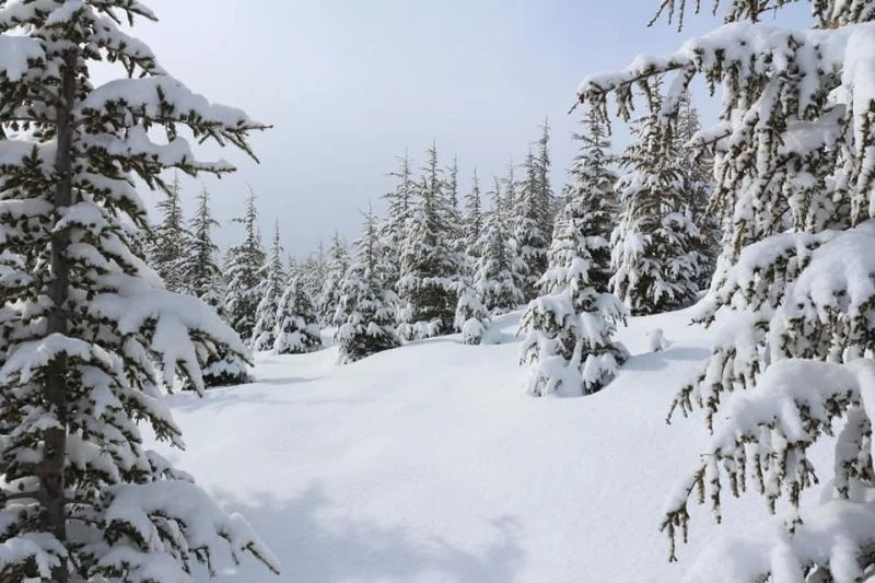 Başyayla’ya yakan kar, kartpostallık görüntüler oluşturdu
