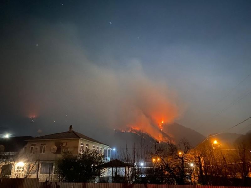 Rusya’da yeni yıl kutlamalarında atılan havai fişekler orman yangınına neden oldu
