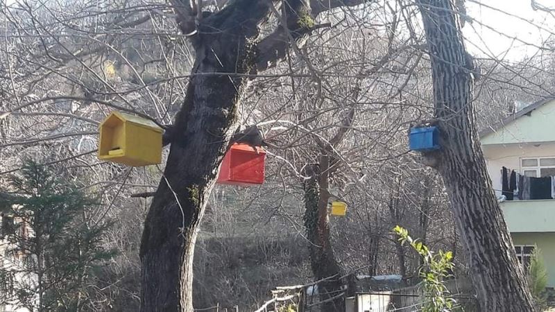 Cenaze tabutları, kuş yuvasına dönüştü
