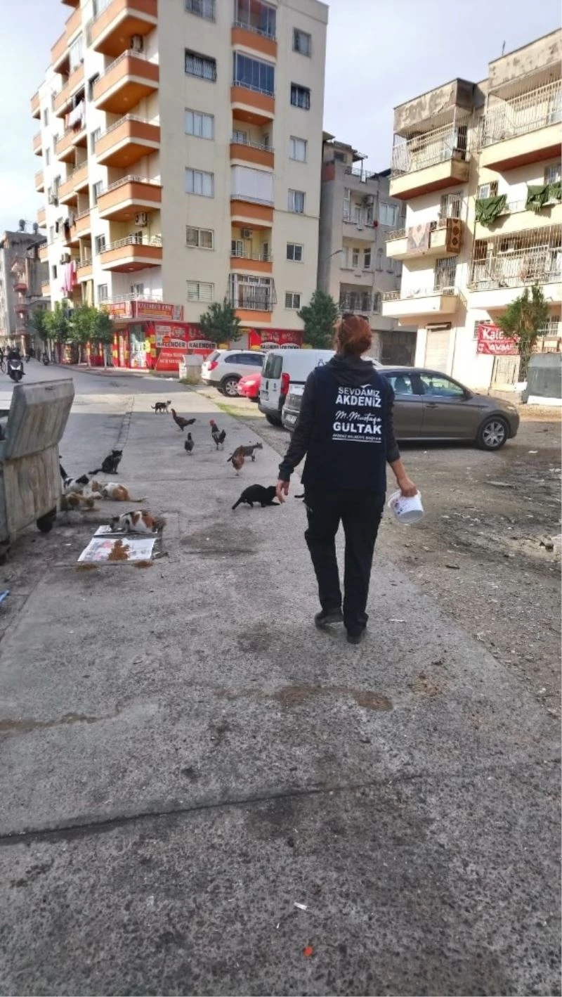 Kısıtlamada, sokakta yaşayan canlılar unutulmadı
