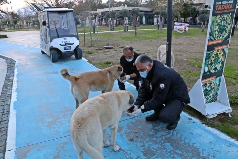 Polislerin ’Merhamet’ devriyesi
