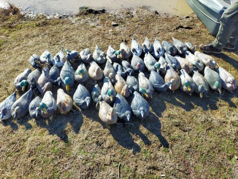 Milli parkta kayık ve av mühre ördekler ele geçirildi: 2 kişiye 160 bin lira ceza
