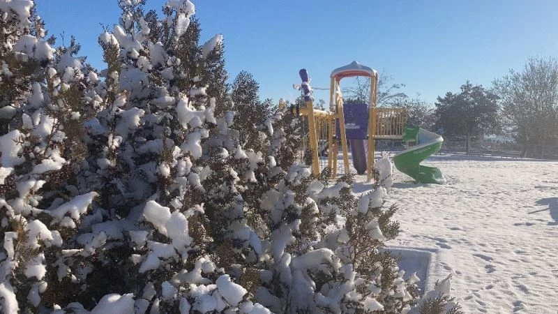 Kısıtlamayla sessizliğe bürünen Elazığ güne karla uyandı
