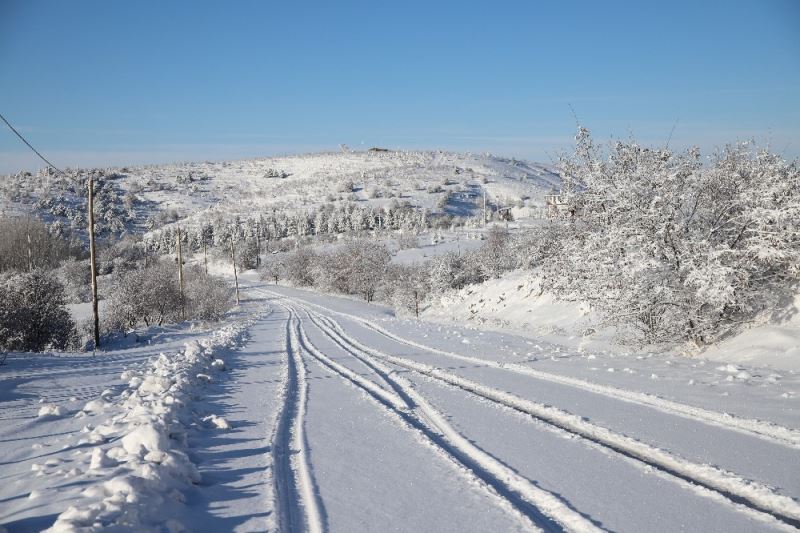 Elazığ’da yoğun kar yağışı, 269 köy yolunu kapattı
