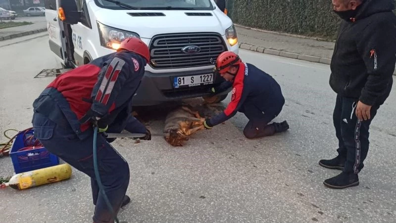 Servis minibüsünün çarparak altına sıkıştırdığı köpeği itfaiye kurtardı
