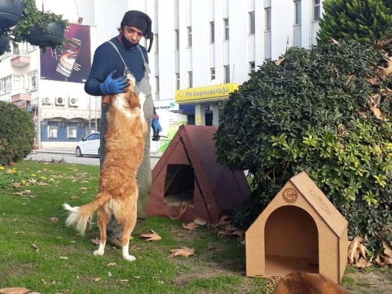 Sinop’ta sokak hayvanları bu kış üşümeyecek
