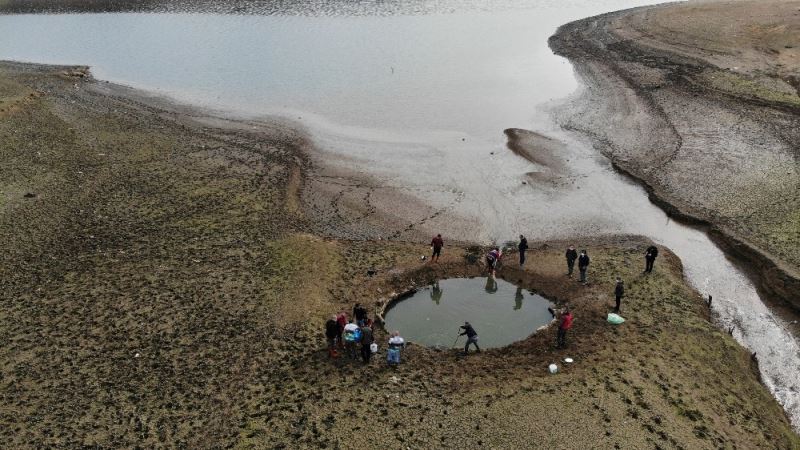 (Özel) Kuruyan Ömerli Barajı’nda mahsur kalan yavru balıkları kurtarma operasyonu havadan görüntülendi

