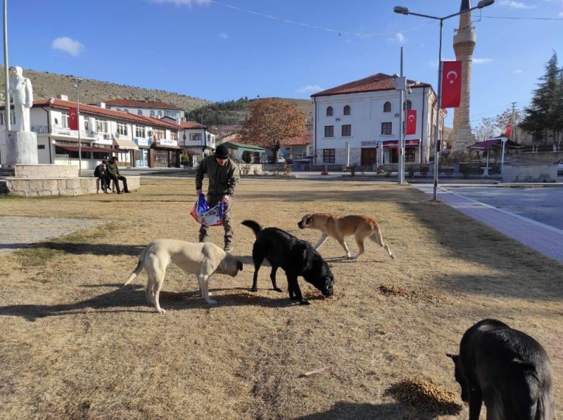 Sokağa çıkma yasağında sevimli patiler unutulmadı
