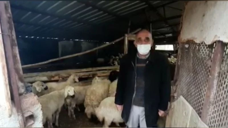 18 hayvanı çalınan besicinin yüzünü jandarma güldürdü
