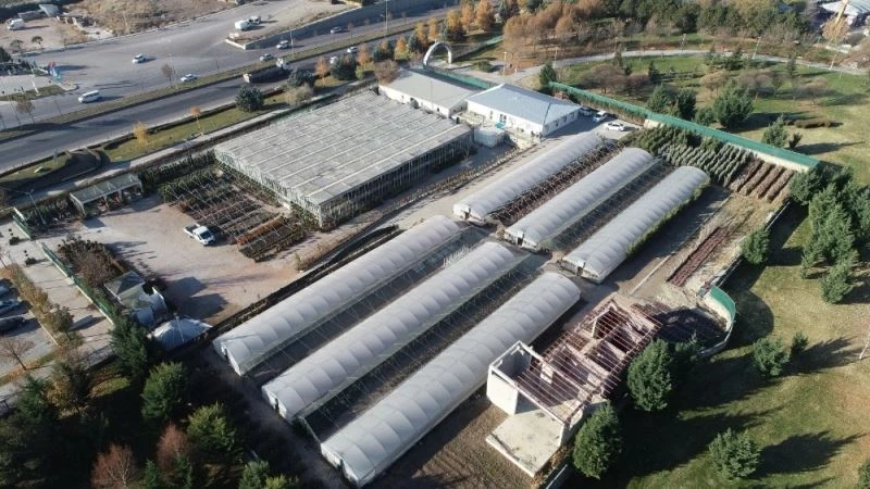 Dört mevsim güzelliğine doyulmayan Sincan Sera Park
