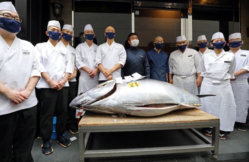 Tokyo’daki balık pazarında geleneksel yeni yıl mezatı
