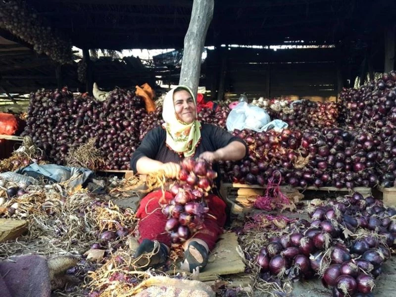 Kapıdağ Mor Soğanı yurt dışına ihraç edilecek
