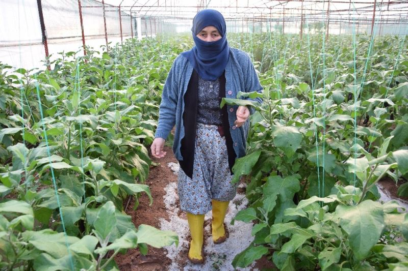 Serası dolu nedeniyle zarar gören kadın çiftçinin tepkisi: ”Patlıcan pahalı diyenler şu halimize baksınlar”
