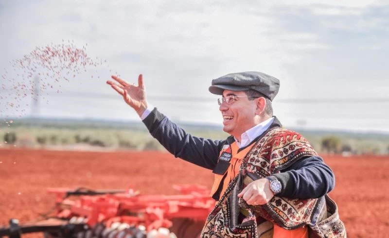 Kepez’de  ekilen 540 dönüm buğday filiz verdi
