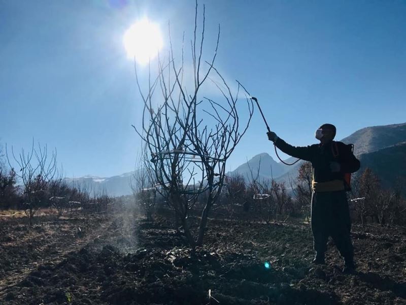 Uludere’de çiftçiye bordo bulamacı eğitimi
