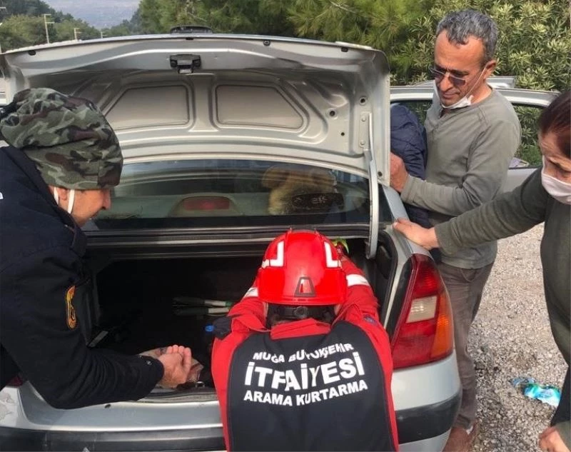 Arabanın hoparlör kabinine kafası sıkışan köpeği itfaiye kurtardı
