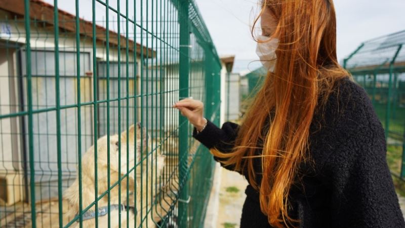 Can dost ’boncuk’ için seferberlik
