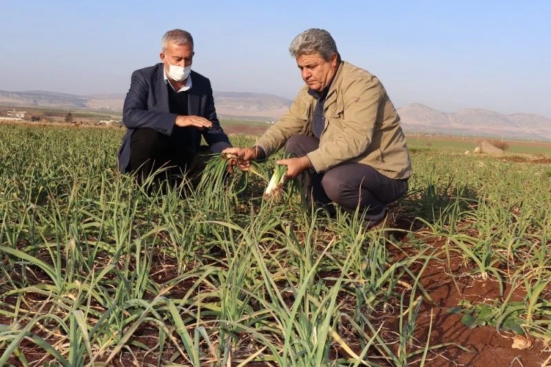 Arabanlı çiftçilerin kuraklık endişesi
