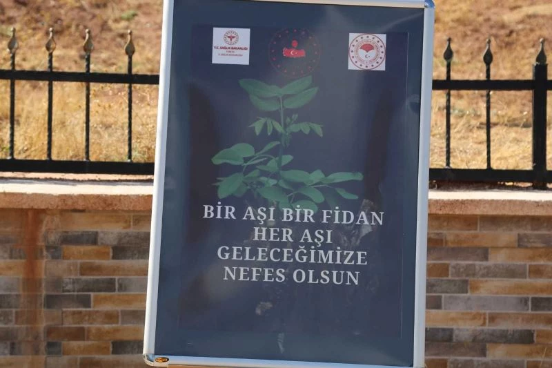 Tunceli’de ilk doz aşısını yaptıranlar için fidan dikilecek
