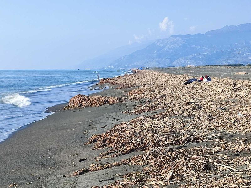 Samandağ sahilinin krizi bitmiyor
