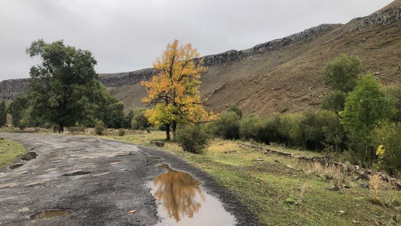 Kars’ta Sonbahar’da renk cümbüşü yaşanıyor
