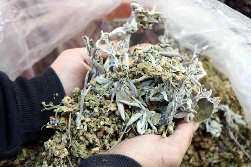 Adaçayı yağı her derde deva
