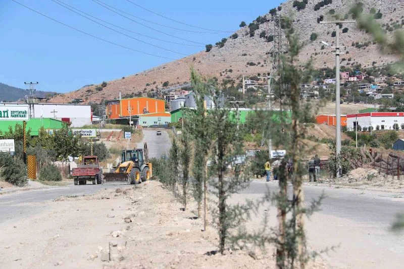 Kozan OSB ağaçlandırıldı
