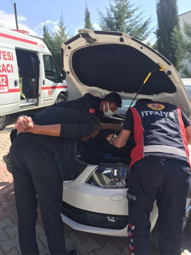 Otomobilin motoruna giren yavru kedi güçlükle çıkartıldı
