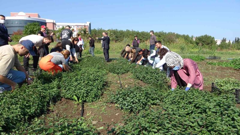 Üniversite öğrencilerinden ilaç sanayisine destek
