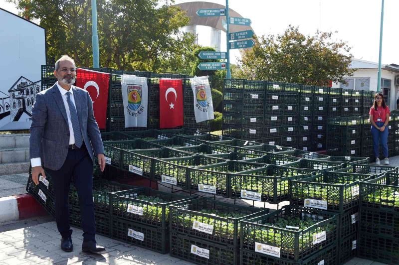 Tarsus Belediyesi, çiftçilere 500 bin adet karnabahar, brokoli ve marul fidesi dağıttı
