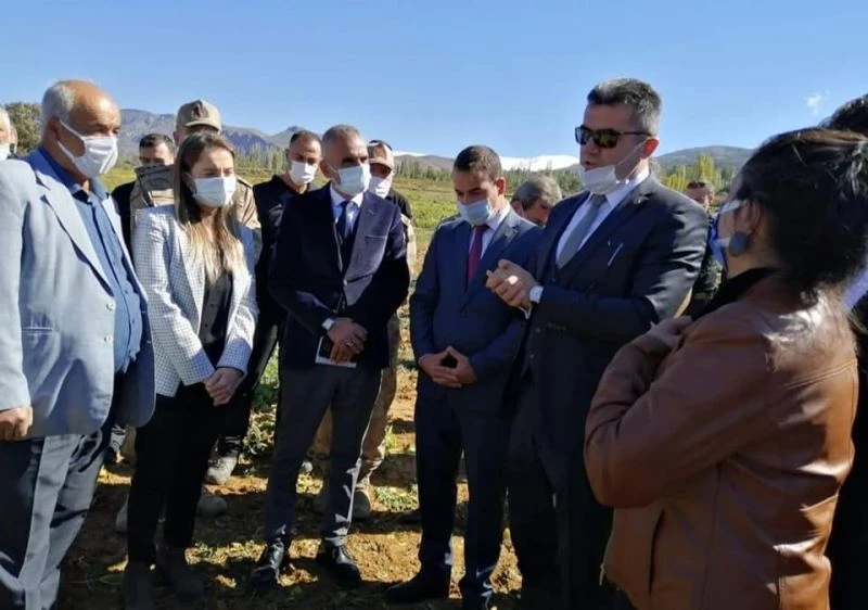 İspir Hanımeli Kadın Kooperatifi 100 dönüm araziye ektikleri fasulye hasadını protokol ile yaptılar
