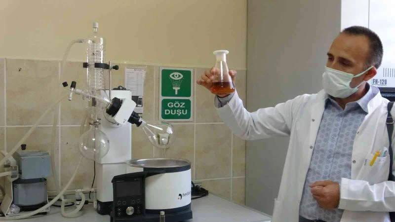 Kafkas Arısı Gen Merkezi Müdürlüğü’nde iki yılda 446 bal analizi yapıldı
