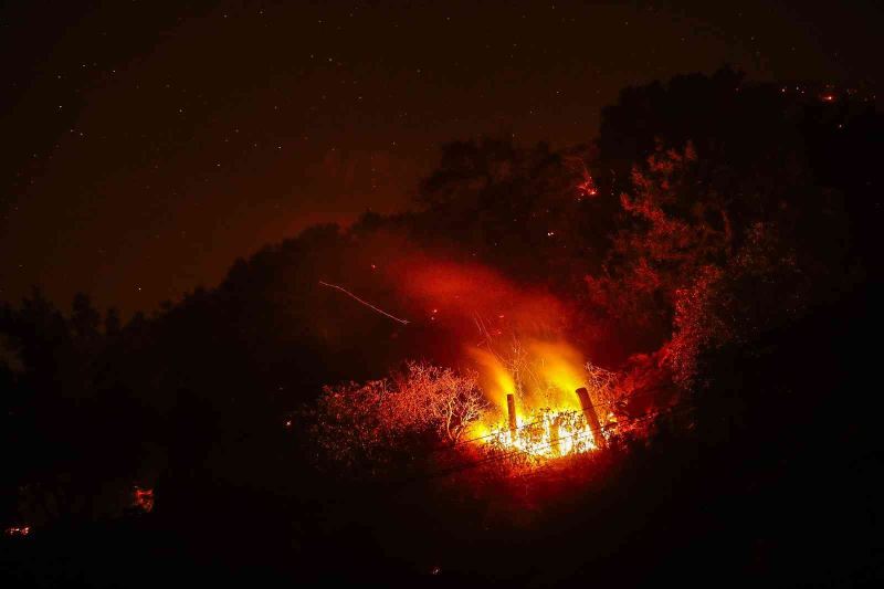 California’da yangın: 5 bin 500 hektar alan yandı
