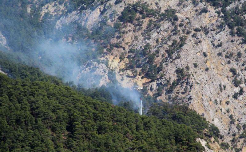 Yıldırım düşmesi sonucu çıkan orman yangınına 3 farklı noktadan 1,5 km’lik hortumlarla müdahale ediliyor
