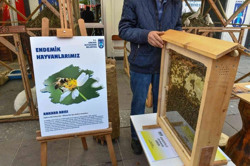 Ankara Büyükşehir Belediyesi “Başkent’in Beş Beyazı”nı tanıttı
