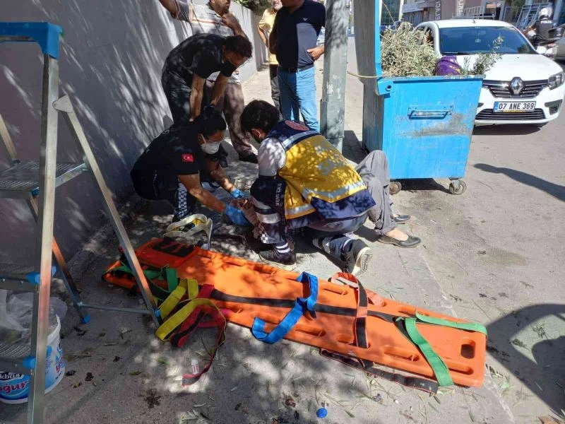 Yaşlı adam zeytin toplamak için çıktığı merdivenden düştü
