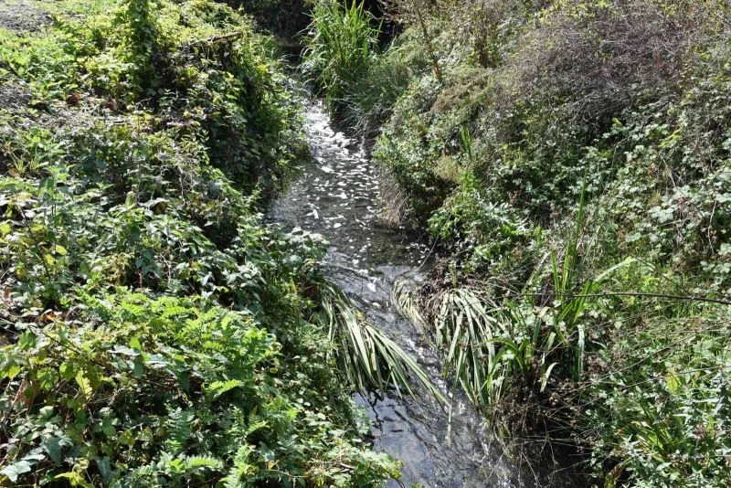 Fabrikalardan dereye salınan kimyasal atıklar mahalledeki seraları kuruttu
