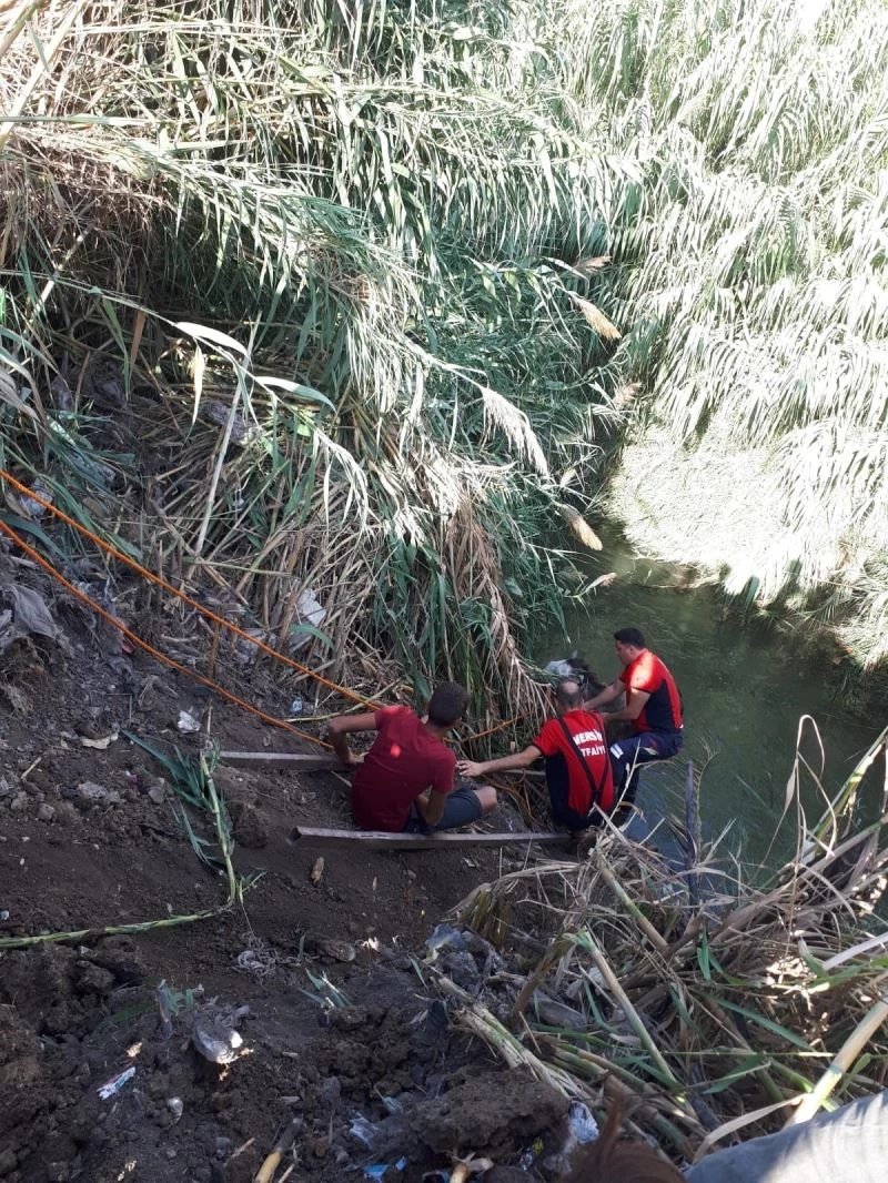 Sulama kanalına düşen atı itfaiye kurtardı
