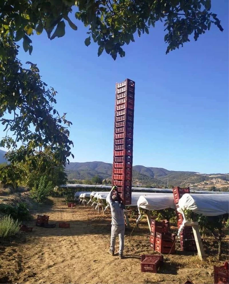 Üzüm işçisini gören dönüp bir daha baktı
