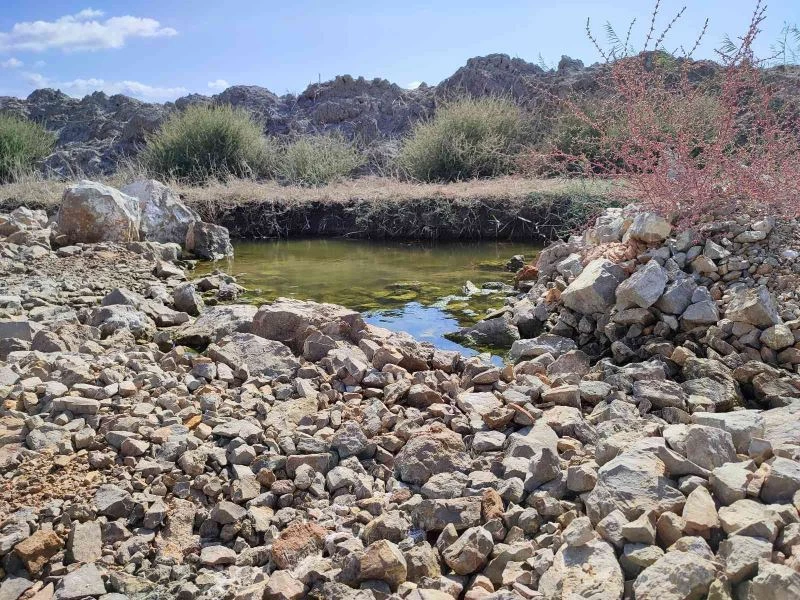 Kuş cenneti moloz yığını ile kirletilmeye devam ediyor
