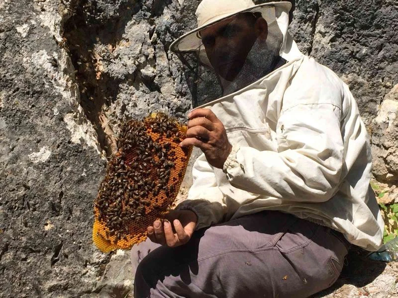 Doğal bal için günlerce 