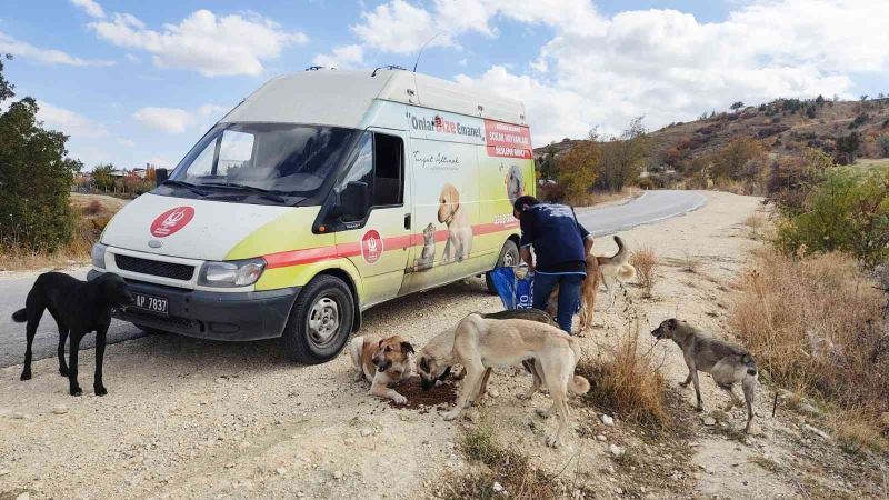 Can dostlar doğal yaşam alanlarında besleniyor
