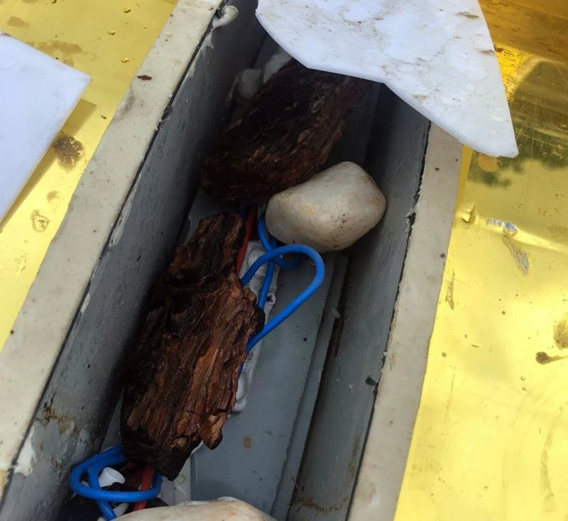 İlçenin ayva figürüne taşlı saldırı
