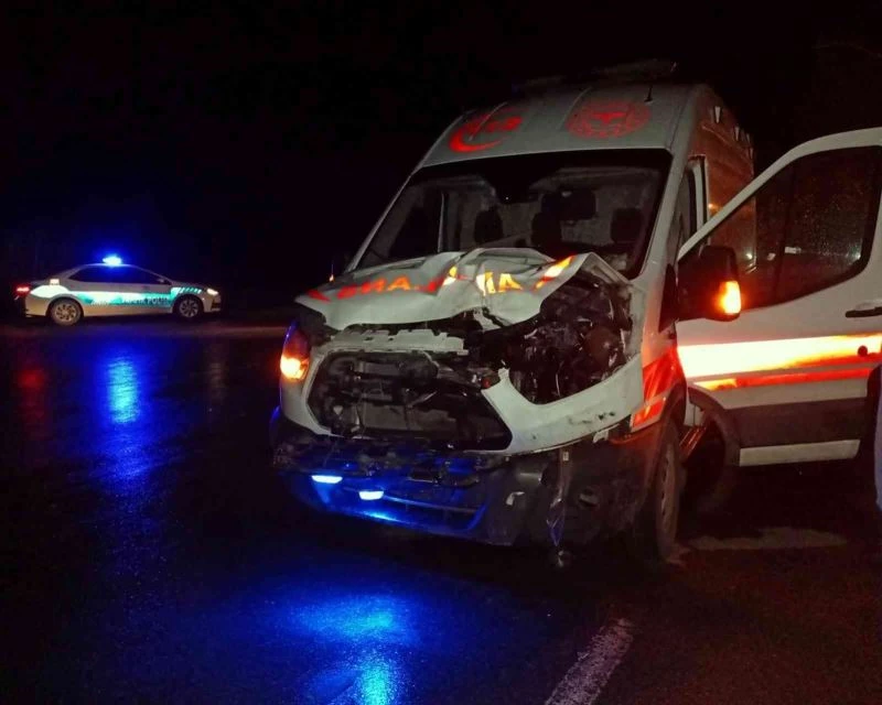 Ambulansın çarptığı inek telef oldu
