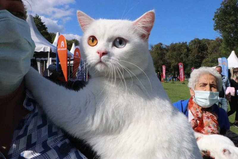 Birbirinden sevimli hayvanlar festivalin gözdesi oldu
