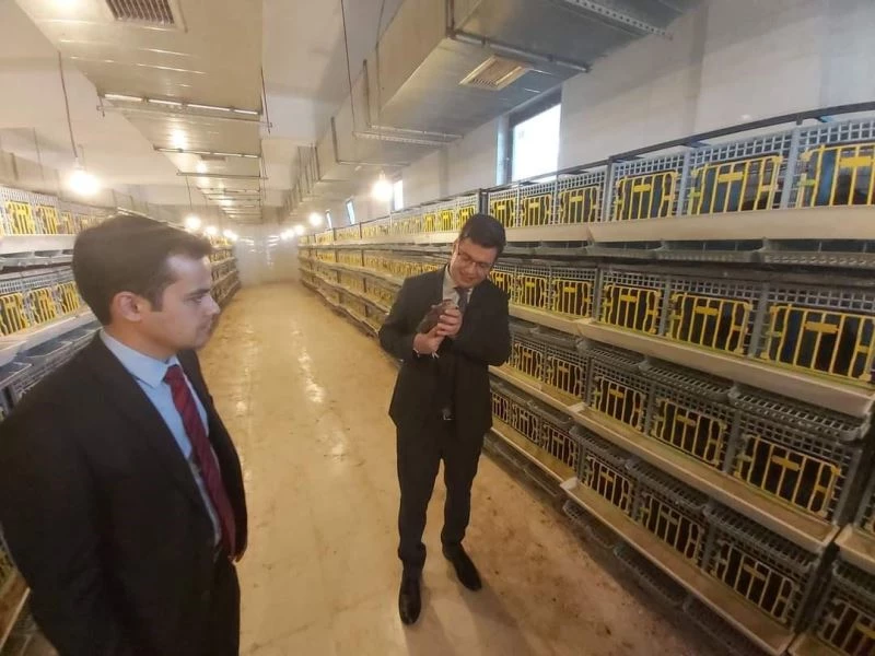 Kaymakam Düzgün, Keklik Üretme Merkezinde incelemelerde bulundu
