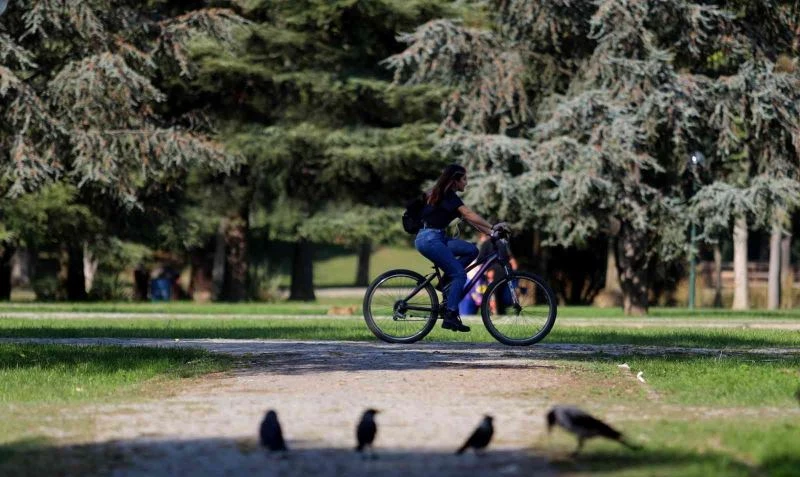 (Özel) Botanik Park’ta sonbaharla birlikte renkli görüntüler
