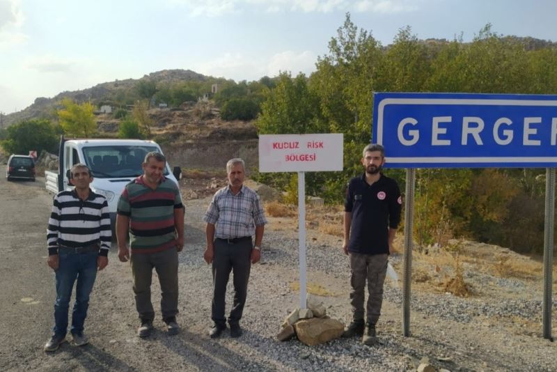 Gerger’de 2. kuduz vakası
