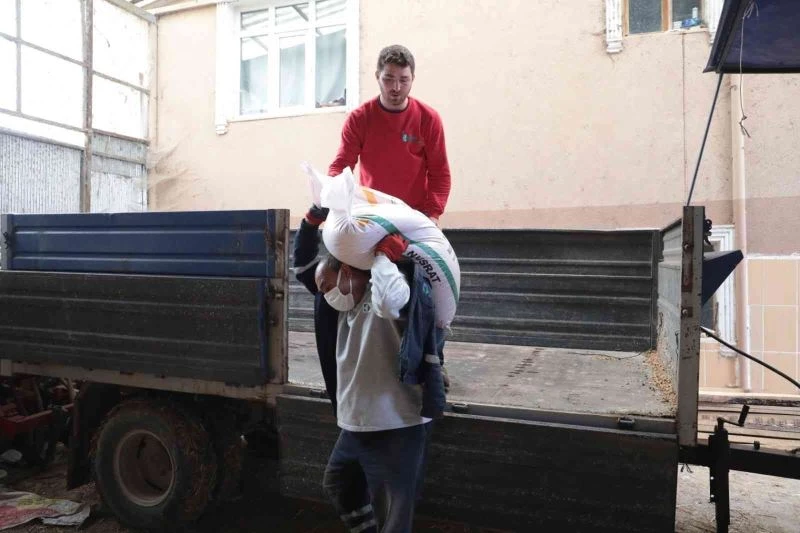 İzmit Belediyesi buğday dağıtımını sürdürüyor
